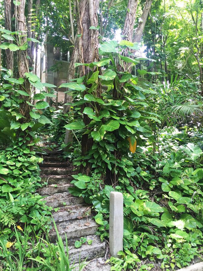 Dos Aguas Bed & Breakfast ริโอกรันเด ภายนอก รูปภาพ